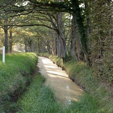 Le circuit Jeanne d'Arc