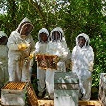 Abeilles et Découvertes - POISEUX