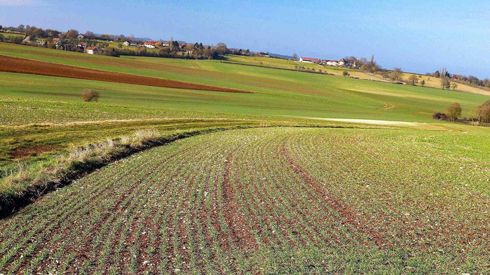  Sentier du Tremblay