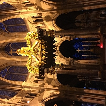 Visite guidée nocturne de la Cathédrale Saint-Etienne - SENS