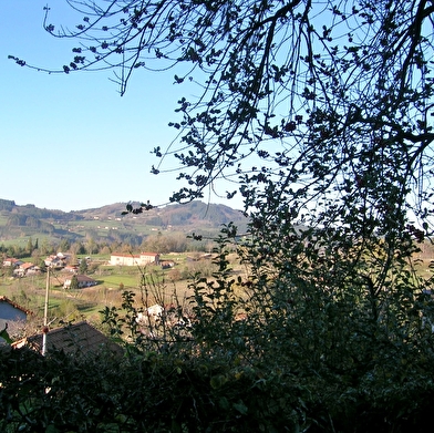 La Forêt