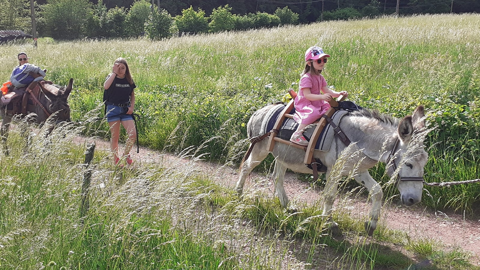 Ferme equestre de la forge