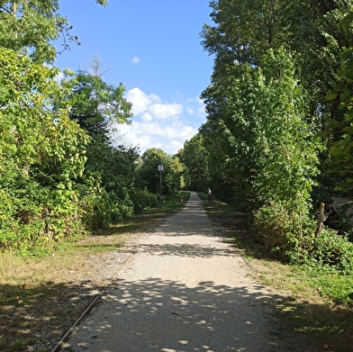 Circuit des voies vertes : Viarhôna et ancien chemin du tram