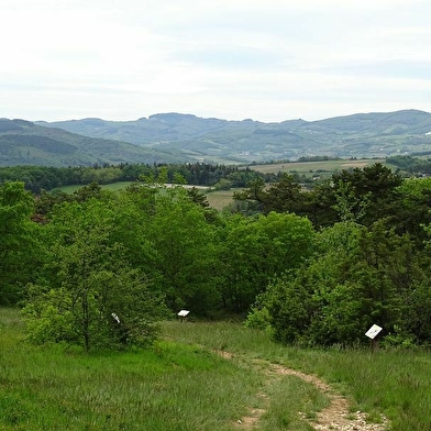 La Lande de Nancelle