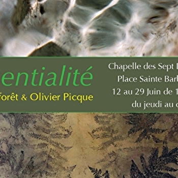 Exposition artistique Essentialité / Olivier Picque et Julie Laforêt - AUTUN