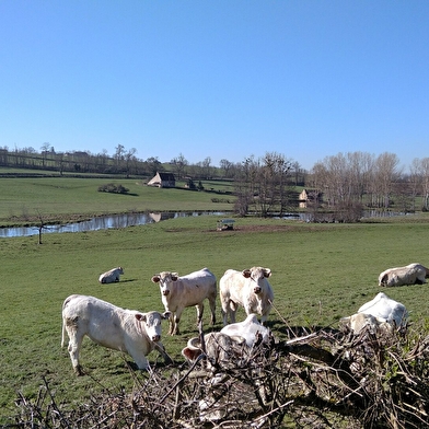 LUGNY-LES-CHAROLLES