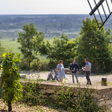 Expérience En selle pour les terroirs de Santenay - Château de La Crée