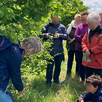 Balades naturalistes gratuites sur la nappe de Dijon Sud et de la Cent Fonts - Parcours 2 (Saulon-la-Chapelle ; Noiron-sous-Gevrey) - ENS2025 - NOIRON-SOUS-GEVREY