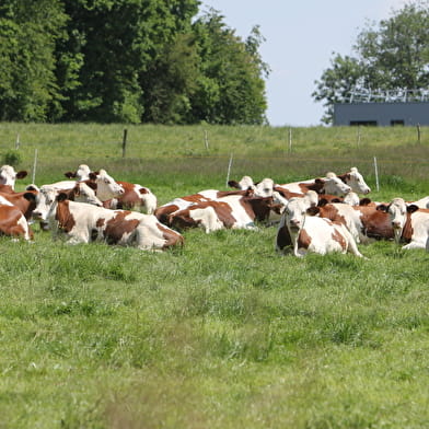 Ferme du Génival