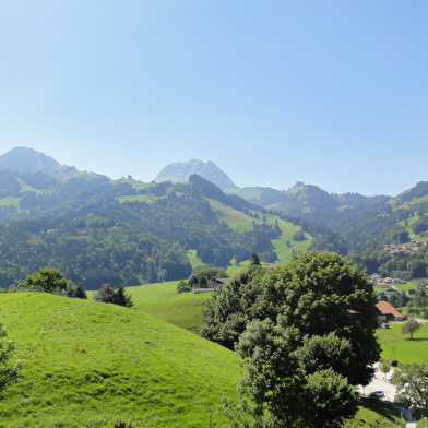 Excursion Gruyères : à l'ombre du Moléson
