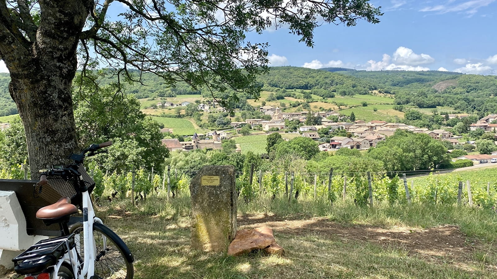 CycloRoute71 - Etape 12 de Cluny à Mâcon