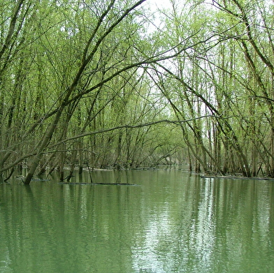 Ile du Girard