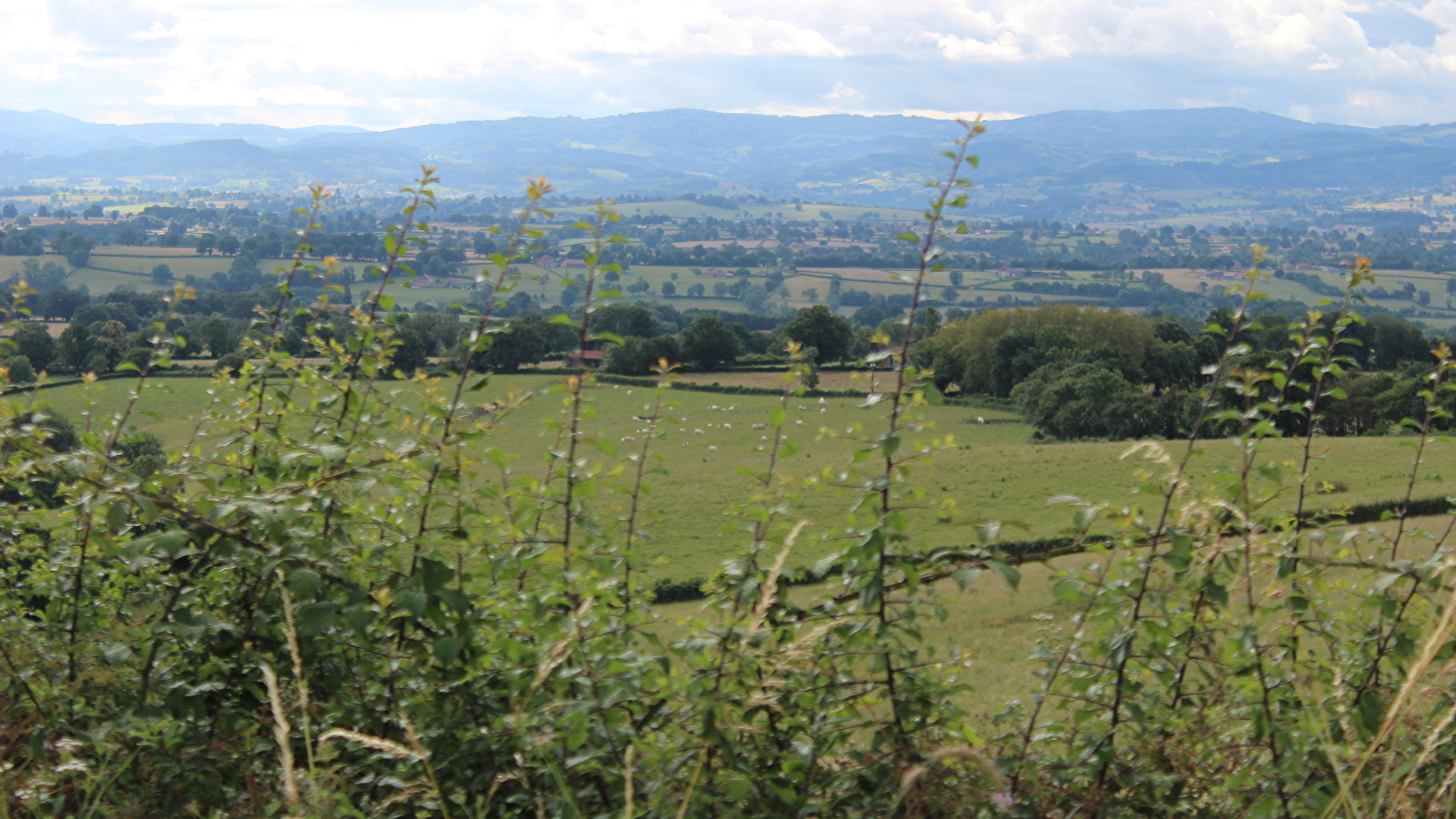 A travers vignes et champs