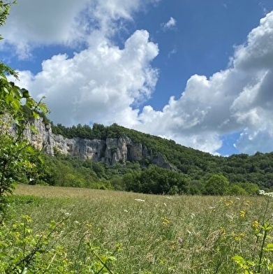 Le Château de la Roche (attente confirmation niveau)