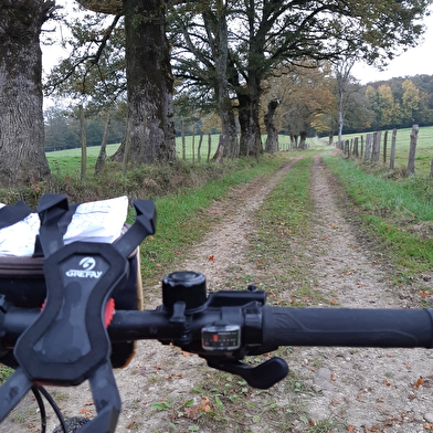 Circuit VTT-VTC n°6 (rouge) Chemins des bois de Bresse