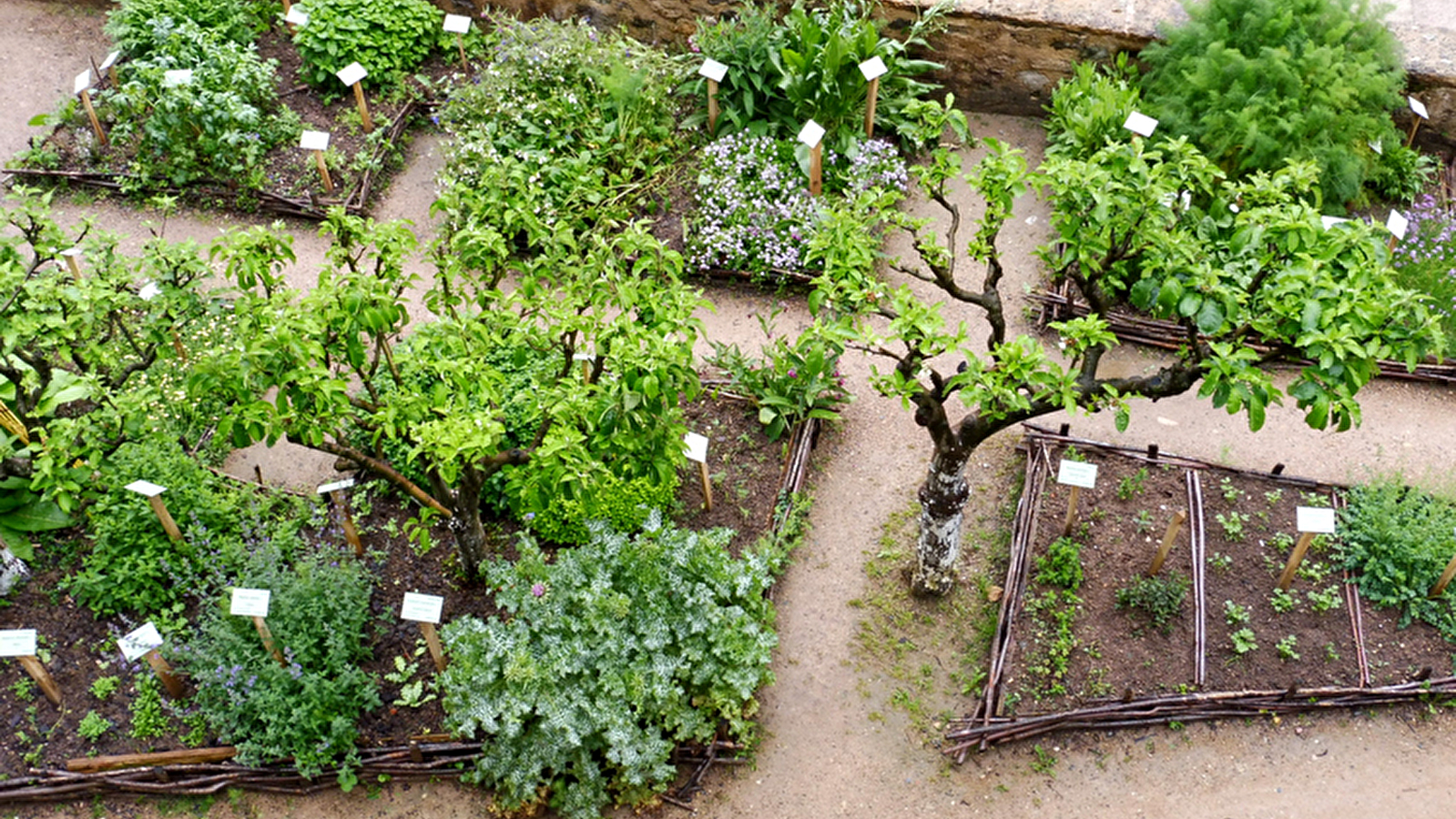 Le Jardin de Simples