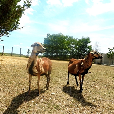 Ferme pédagogique du grand colonge