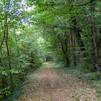 Montagne et bois de La Salle