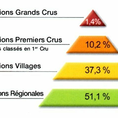 Millésimes à la Carte - Atelier Dégustation 'La Pyramide des Crus'