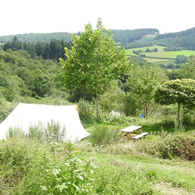 La forêt du Morvan