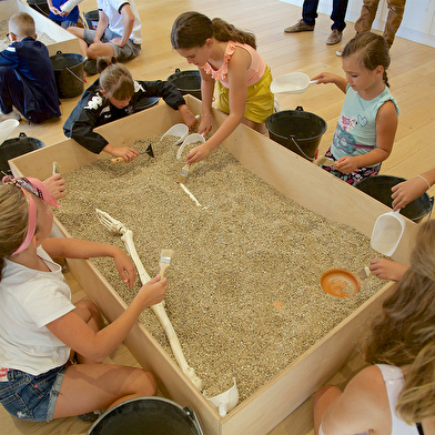 Dans la peau d'un archéologue