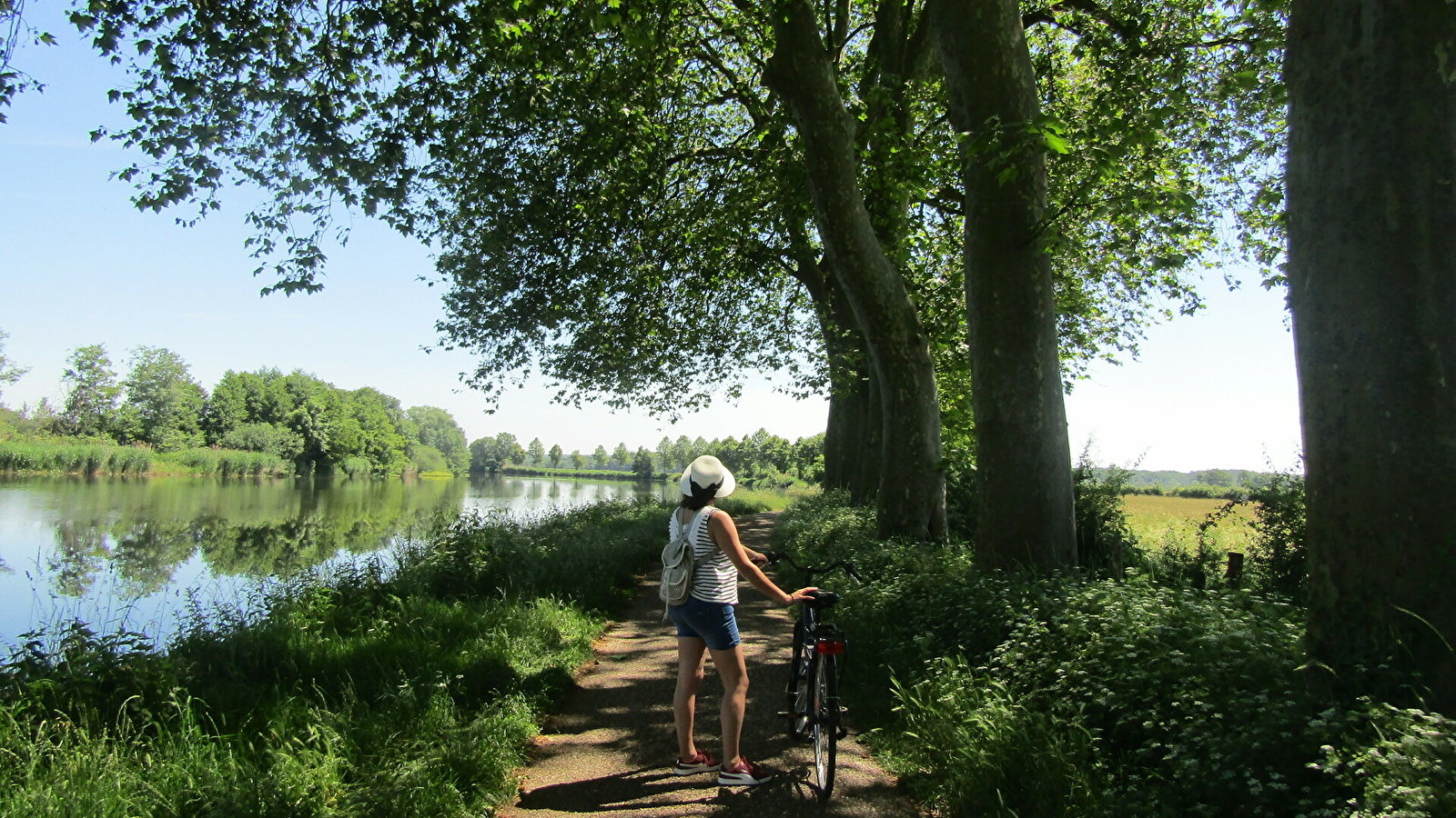 La Voie Bleue Moselle-Saône à vélo