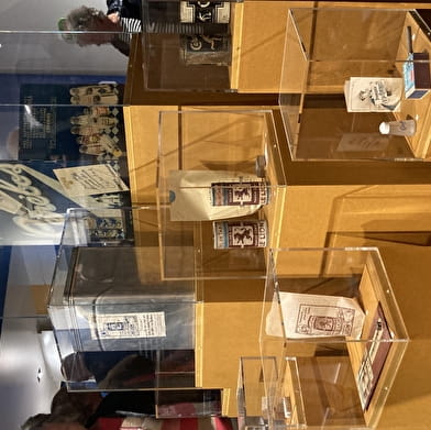 Exposition temporaire Terre de sels