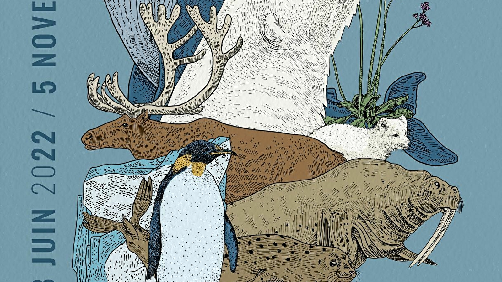 L’ours dans la biodiversité polaire