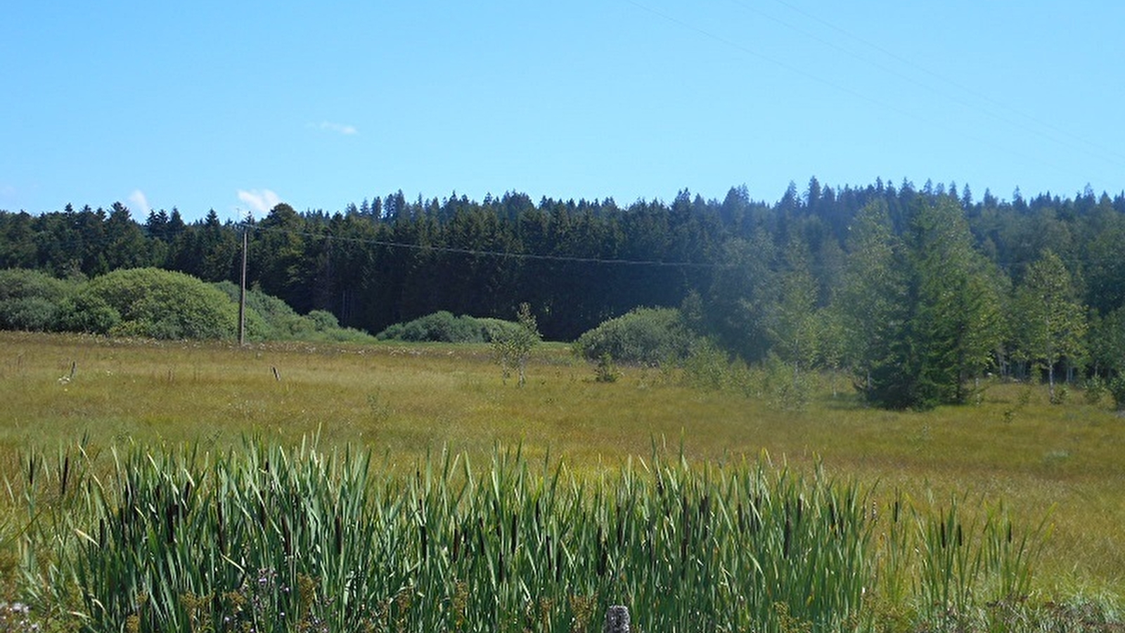 Lac et tourbière de Malpas