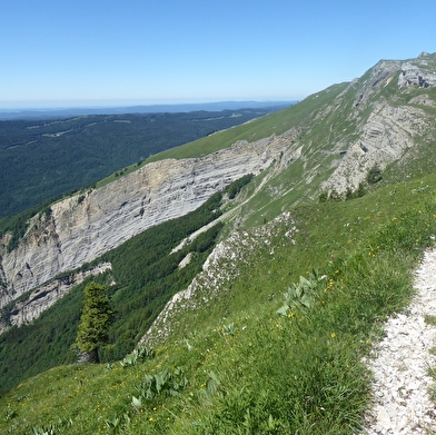 Randonnée pédestre : sur les traces des passeurs