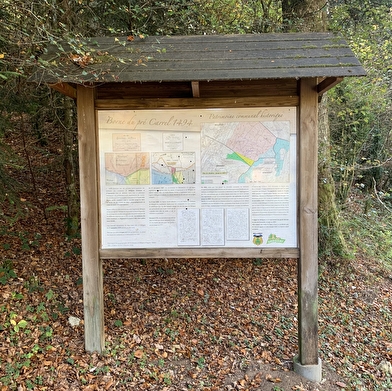 Randonnée - La borne du pré carrel