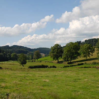 Les charmes - Beaujolais - Saint-Igny-De-Vers