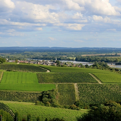 Pouilly-sur-Loire