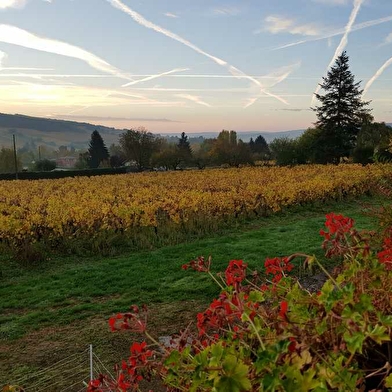 Domaine de la Boffeline