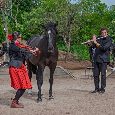 Au Bal d'Apollon - Spectacle équestre - 10 août