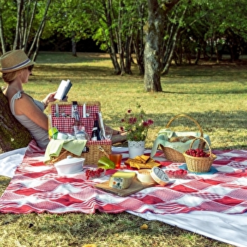Fantastic Picnic 'En quête des sommets' - MACON