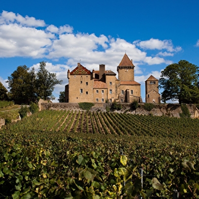 Chambres d'hôtes du Château de Pierreclos