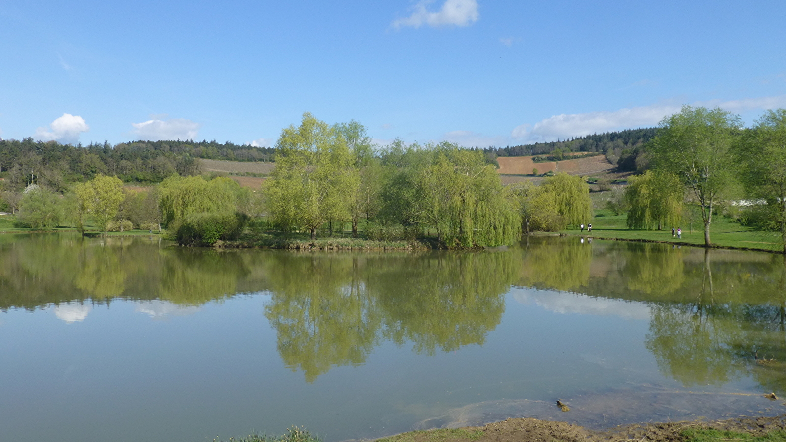 Etang du Pont Latin