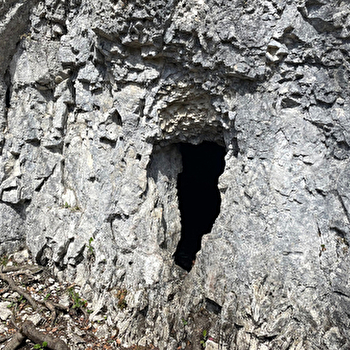 Grotte à Pierre du Bourg - CHAPELLE-DES-BOIS