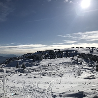 Sentier raquettes de Lélex au Crêt de la Neige