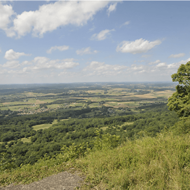 Dame Blanche et Vieux Tilleul