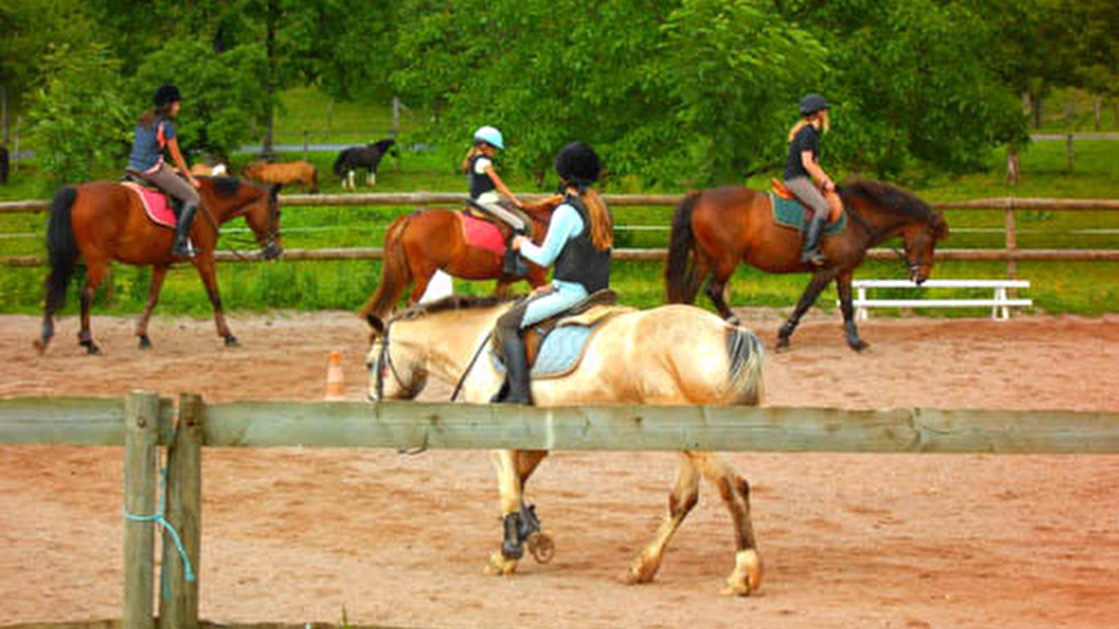 Poney Club le Picotin