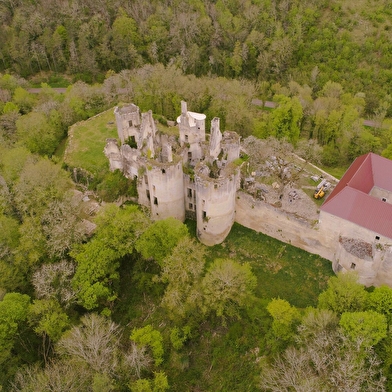 Visites guidées château de Rochefort