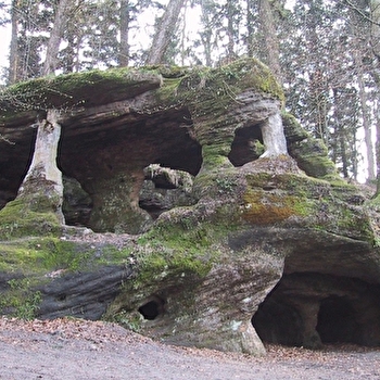 Les Racines - MOISSEY