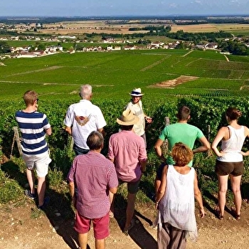 Éveil des 5 Sens à Vosne-Romanée - VOSNE-ROMANEE