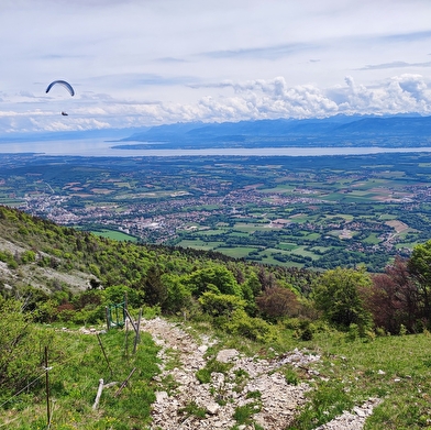 Randonnée pédestre : La Petite Marche Populaire de Gex
