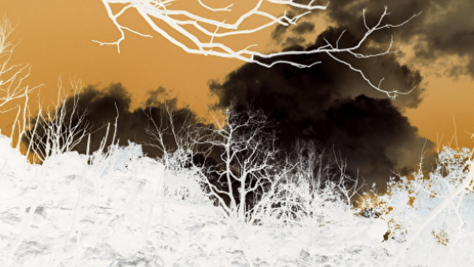 Exposition de Christelle Fillod
Artiste plasticienne
Vernissage le vendredi 1er août à 18 h