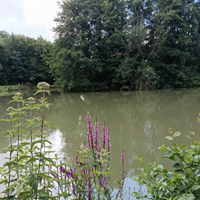 Camping-caravaning La Fontaine aux fées