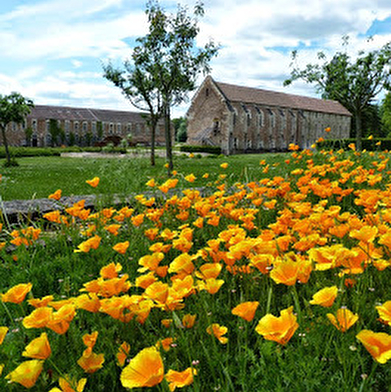 Abbaye de Cîteaux