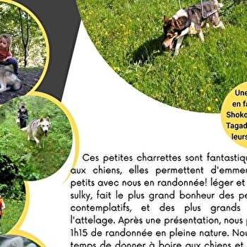 Cani rando et sulky pour les familles - LAMOURA